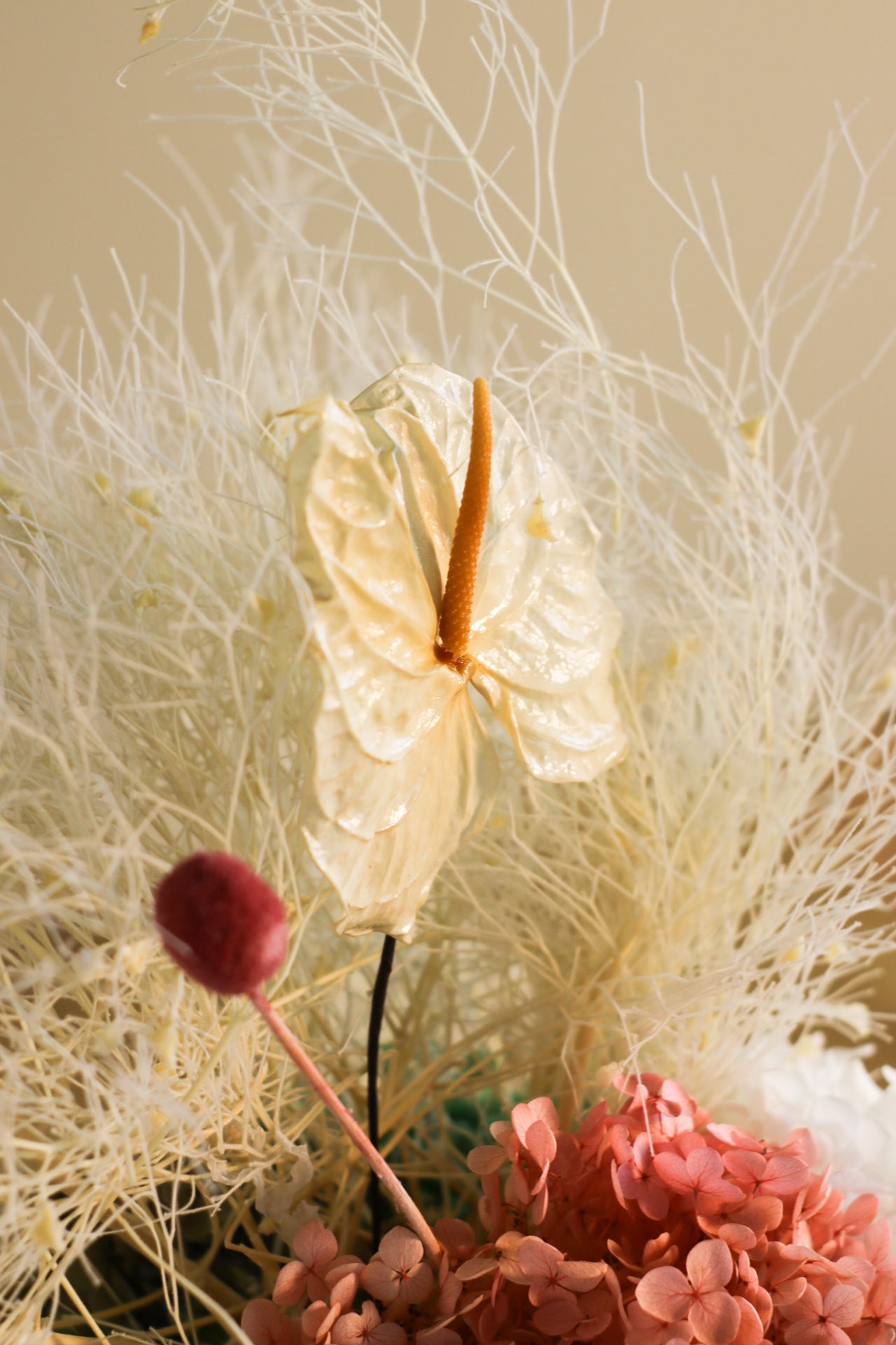 Grande Candido, composizione di fiori stabilizzati