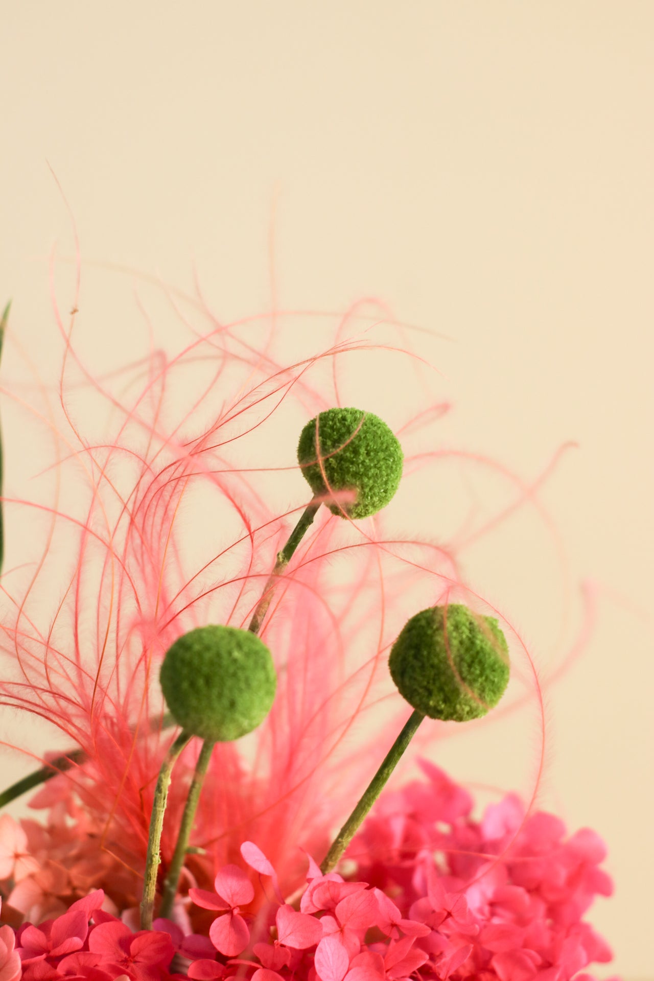 Grande Cipria, composizione di fiori stabilizzati